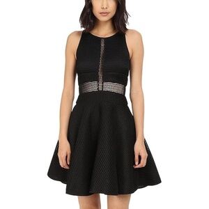 Zac Zac Posen Corrine Black Mesh Cocktail Dress size 6